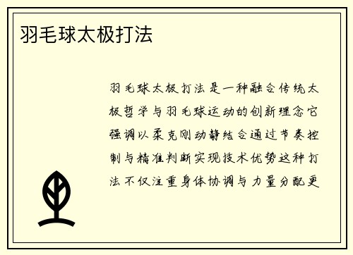 羽毛球太极打法