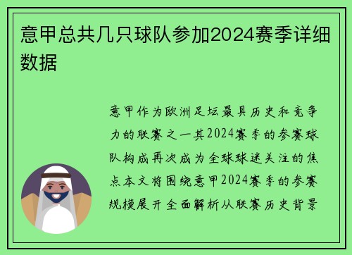 意甲总共几只球队参加2024赛季详细数据